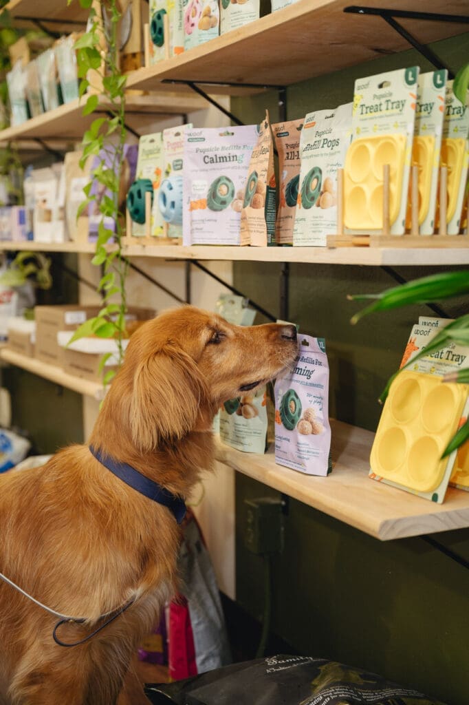 dog sniffing a treat bag on the shelf of a pet store